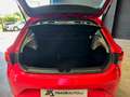 SEAT Leon 1.6TDI CR S&S Reference 110 Rojo - thumbnail 9