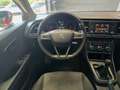 SEAT Leon 1.6TDI CR S&S Reference 110 Rojo - thumbnail 20