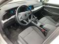 Volkswagen Golf 8 Rabbit 1,0 TSI Weiß - thumbnail 10