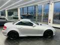 Mercedes-Benz SLK 280 Gris - thumbnail 8