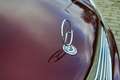 Mercedes-Benz E 500 Elegance V8 AUTOMAAT | Als nieuw en met volledige Червоний - thumbnail 35