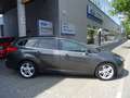 Ford Focus LM Grau - thumbnail 10