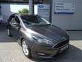 Ford Focus LM Grau - thumbnail 2