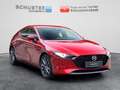 Mazda 3 Exclusive-Line 2.5l Automatik/BOSE/360° Kamera Rot - thumbnail 5