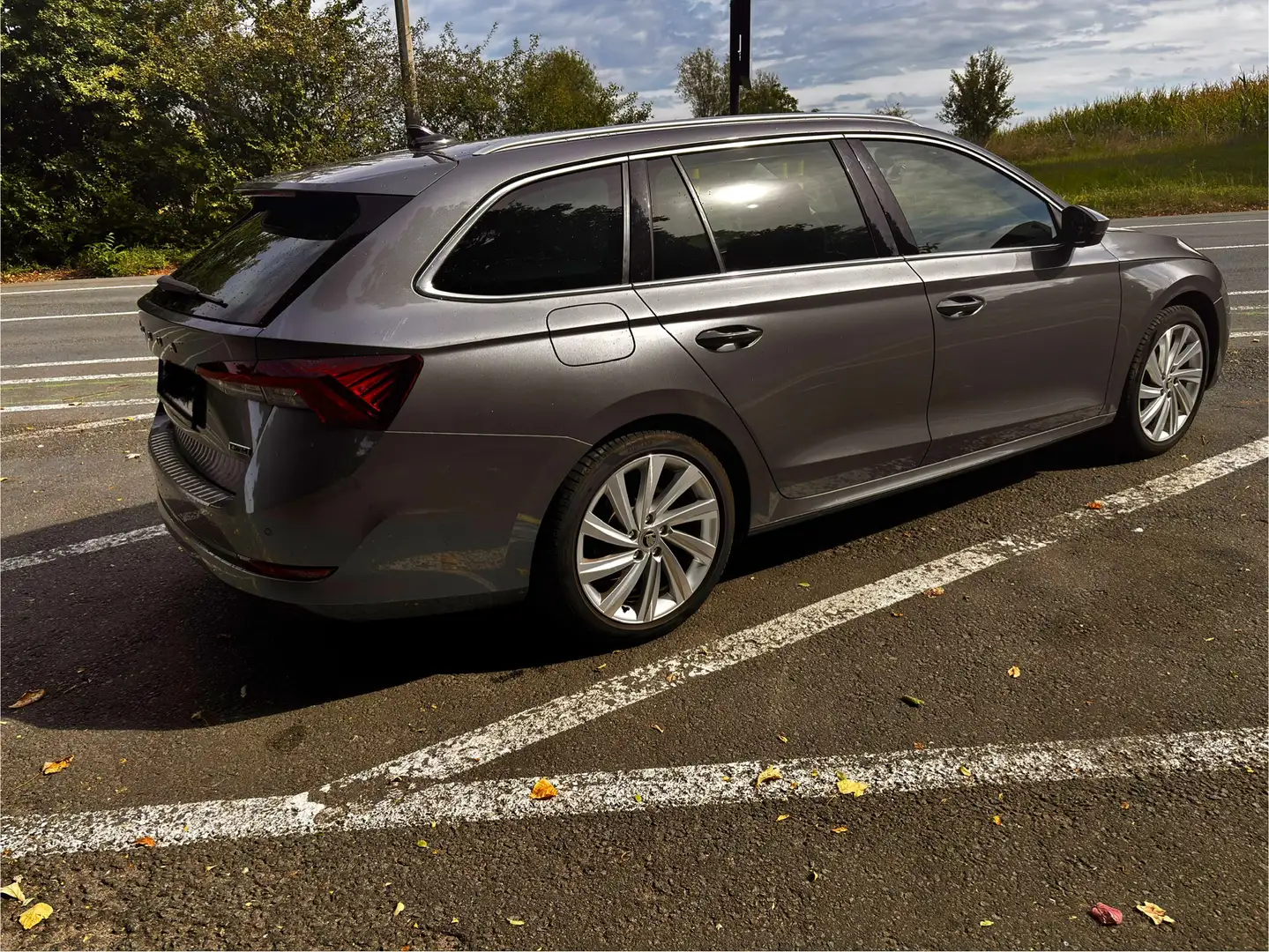 Skoda Octavia Octavia Combi 1.5 TSI eTec MHE Ambition DSG - 2