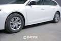 Peugeot 508 SW 1.5 BlueHDI 130CV Active Pack EAT8 Bianco - thumbnail 4