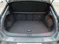 Volkswagen T-Roc 1.5 TSI DSG R-LINE LEDplus+NAV+AHK+ACC+DAB Grau - thumbnail 14