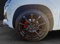 Skoda Karoq TDI Sportline 4x4 Matrix PANO ACC Kamera360° Weiß - thumbnail 12
