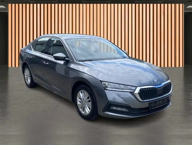 Skoda Octavia view 13