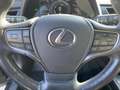 Lexus UX 250h UX250h Hybrid Style wenig KM *junger Gebrauchter Zwart - thumbnail 17