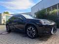Lexus UX 250h UX250h Hybrid Style wenig KM* 8fach Bereift* uvm Schwarz - thumbnail 5