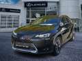 Lexus UX 250h UX250h Hybrid Style wenig KM *junger Gebrauchter Noir - thumbnail 1