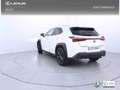 Lexus UX 250h 2.0 Premium Blanco - thumbnail 3