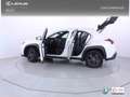 Lexus UX 250h 2.0 Premium Blanco - thumbnail 25