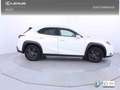 Lexus UX 250h 2.0 Premium Blanco - thumbnail 22