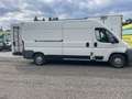Citroen Jumper 3200 2,8 HDi HD Luxusbus - thumbnail 12