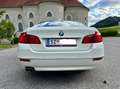 BMW 520 520d xDrive Österreich-Paket Aut. Weiß - thumbnail 5