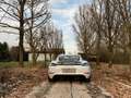 Porsche 718 4.0 Cayman GTS-Manuale-Unico Proprietario Blanc - thumbnail 6