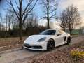 Porsche 718 4.0 Cayman GTS-Manuale-Unico Proprietario Blanc - thumbnail 1