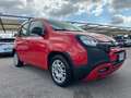 Fiat Panda Panda 1.2 Lounge Rot - thumbnail 1