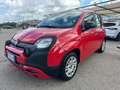 Fiat Panda Panda 1.2 Lounge Rot - thumbnail 7