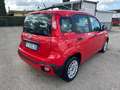 Fiat Panda Panda 1.2 Lounge Rot - thumbnail 3