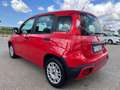 Fiat Panda Panda 1.2 Lounge Rot - thumbnail 5
