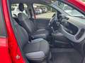 Fiat Panda Panda 1.2 Lounge Rot - thumbnail 11