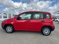 Fiat Panda Panda 1.2 Lounge Rot - thumbnail 6