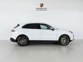 Porsche Cayenne E-Hybrid Aut. Blanc - thumbnail 10