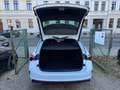 Skoda Octavia Combi VRS Ambiente Sportsitze Blanco - thumbnail 22