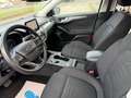 Ford Focus Active   AUTOMATIK Blau - thumbnail 25