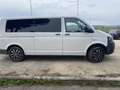 Volkswagen T5 Transporter T5  4x4 autom. omol. trasporto cani - thumbnail 1
