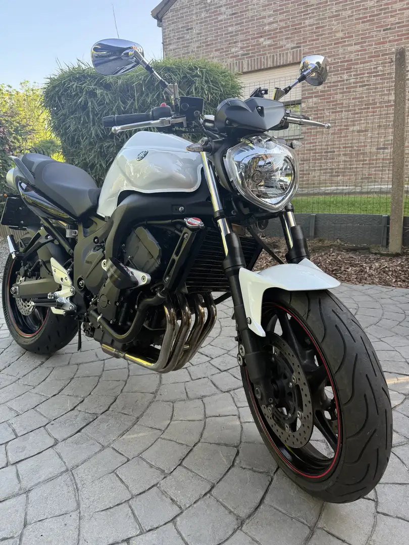 Yamaha FZ 6 - 1