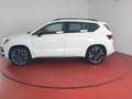 CUPRA Ateca 2.0TSI 4Drive DSG 356,-ohne Anzahlung Navi Bianco - thumbnail 20