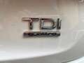 Audi Q3 Q3 I 2011 2.0 tdi Advanced quattro 140cv Bianco - thumbnail 8