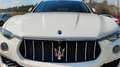 Maserati Levante 275 Diesel GranLusso Aut. Blanco - thumbnail 10