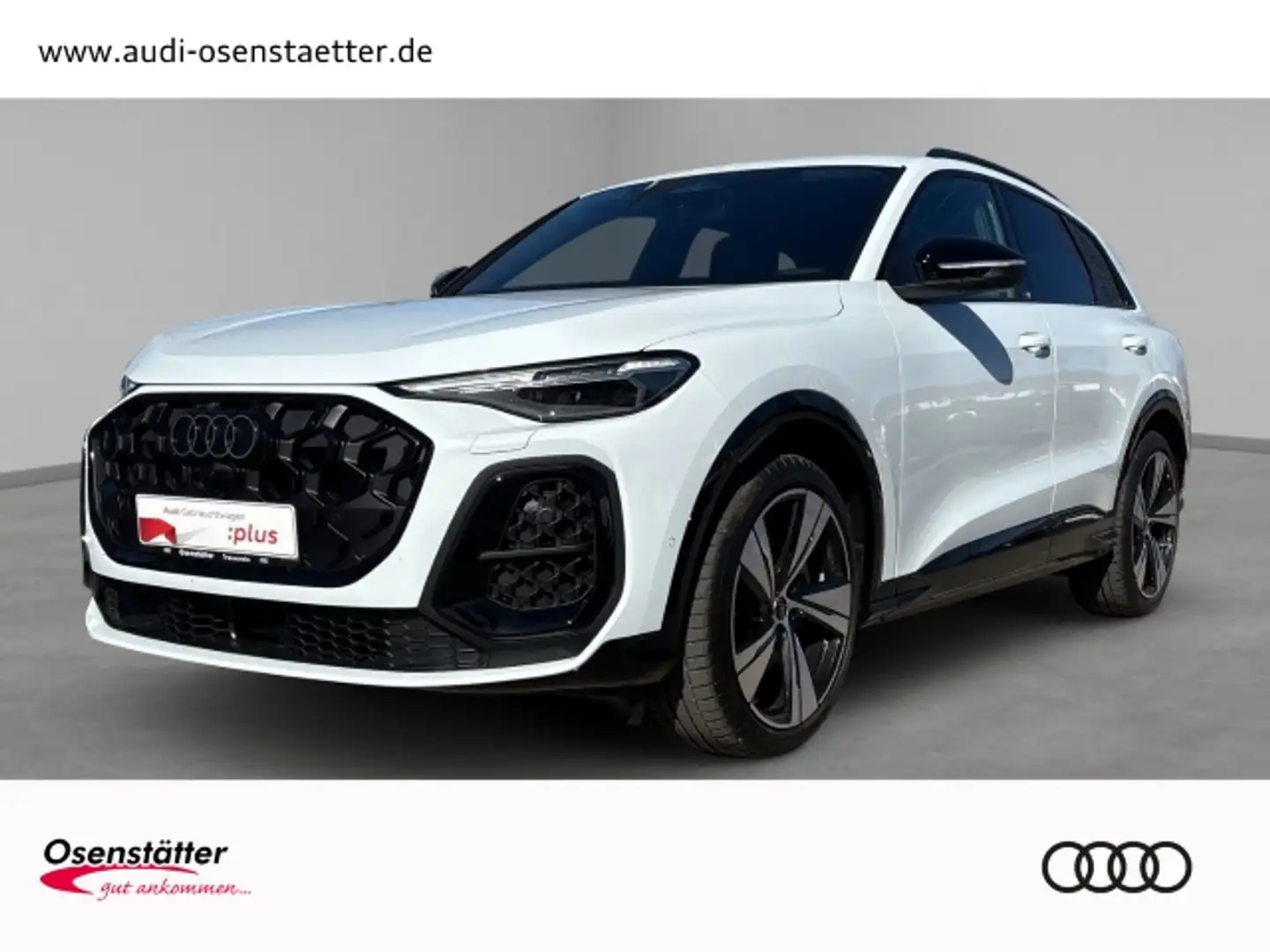 Audi Q5 2,0 TDI qu Matrix Kamera Memory HuD B&O Weiß - 1