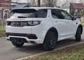 Land Rover Discovery Sport 2.0 TD4 SE (EU6d-TEMP) - Garantie 12 mois Weiß - thumbnail 7