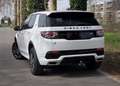 Land Rover Discovery Sport 2.0 TD4 SE (EU6d-TEMP) - Garantie 12 mois Weiß - thumbnail 6