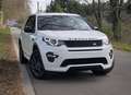 Land Rover Discovery Sport 2.0 TD4 SE (EU6d-TEMP) - Garantie 12 mois Weiß - thumbnail 2