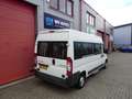 Peugeot Boxer PEUGEOT peugeot boxer rolstoelbus 9 pers met lift Blanc - thumbnail 4