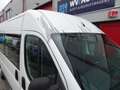Peugeot Boxer PEUGEOT peugeot boxer rolstoelbus 9 pers met lift Blanc - thumbnail 13