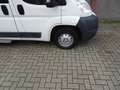 Peugeot Boxer PEUGEOT peugeot boxer rolstoelbus 9 pers met lift Blanc - thumbnail 19