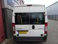Peugeot Boxer PEUGEOT peugeot boxer rolstoelbus 9 pers met lift Blanc - thumbnail 21