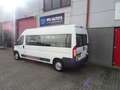 Peugeot Boxer PEUGEOT peugeot boxer rolstoelbus 9 pers met lift Blanc - thumbnail 3