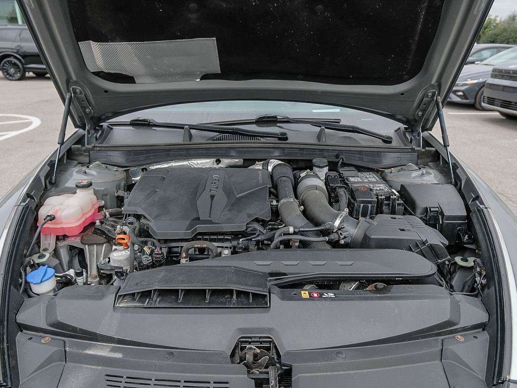 Image 11