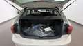 Volkswagen Polo 1.0 Edition Plus Bianco - thumbnail 14