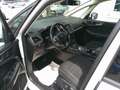 Ford Galaxy 2,5 Duratec Hybrid Edition Aut. Weiß - thumbnail 22