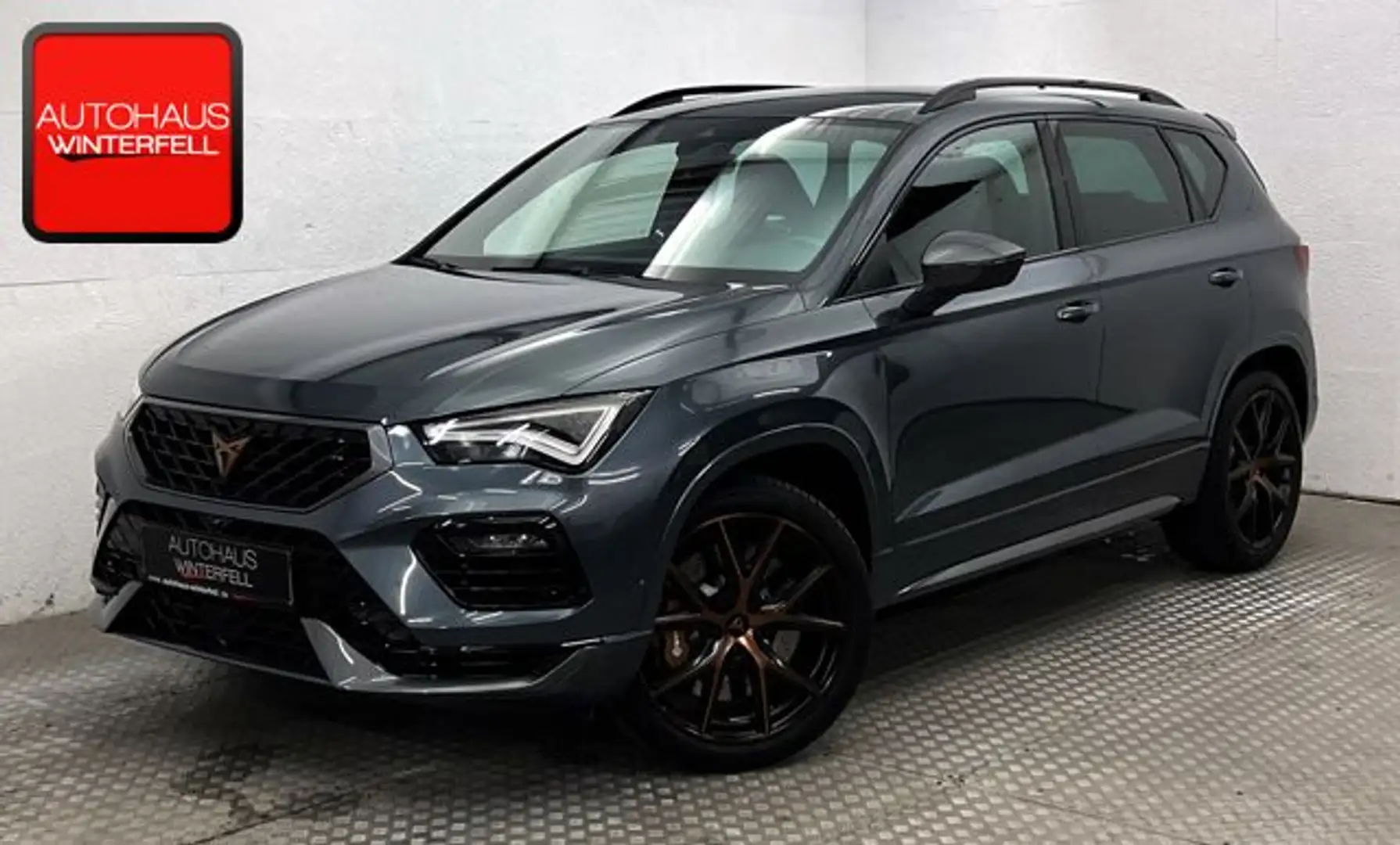 CUPRA Ateca 2.0 TSI 4Drive AKRAPOVIC+BREMBO+BEATS+360+ Grau - 1